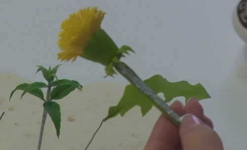 пример цветок из полимерной глины